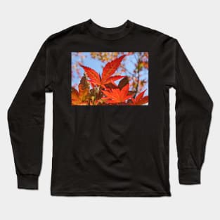 Red Maple Leaves Long Sleeve T-Shirt